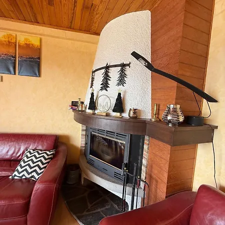 Apartment T3 Hypercenter With Fireplace, Mountain View *